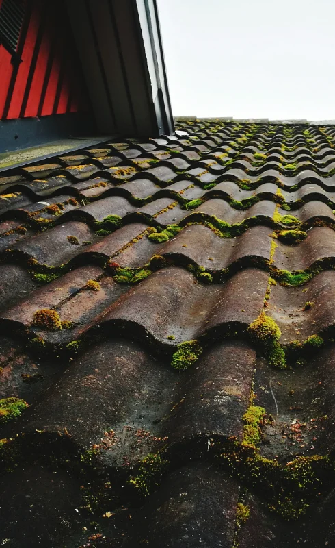 Dak ontmossen prijs