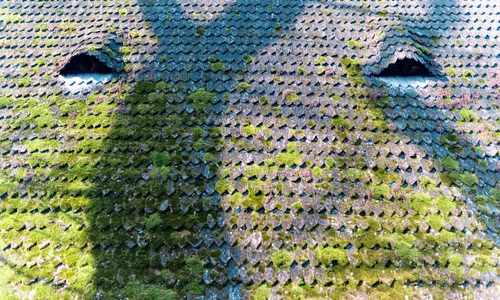 Dak ontmossen Dak ontmossen