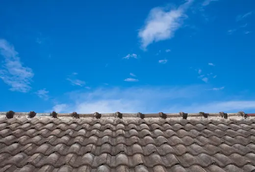 Dakpannen schoonmaken